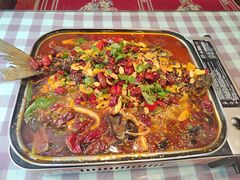 -伊帆食府·青海地方特色美食