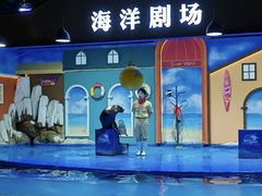 -重庆欢乐海底世界