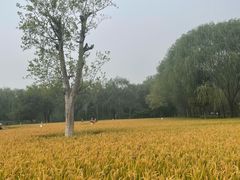 -北坞公园