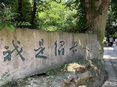 -柯岩风景区