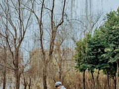 -眉山湿地公园(东坡区)