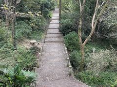 -南京老山国家森林公园