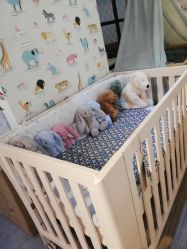 -国际蓝孩BabyInternational(杭州嘉里中心店)