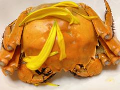 -蟹榭·本帮江浙菜·蟹宴(大宁久光商场店)