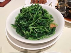 上汤苋菜-利苑酒家(金宝店)