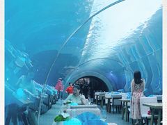 -海棠湾洲际-涛·海底餐厅·美人鱼·自助餐·海底隧道
