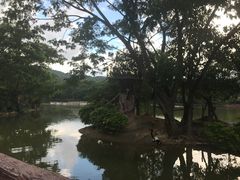 -清迈夜间动物园