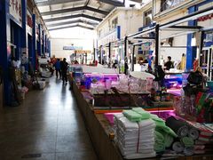 -山东柏宁水族批发广场