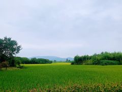 -良渚古城遗址公园