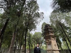 -四门塔风景区