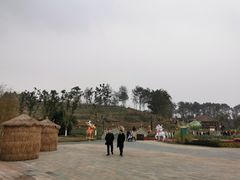 -黄龙溪欢乐田园