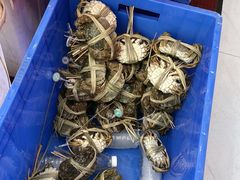 -蟹状元大闸蟹·年货·粽子(成都成华店)