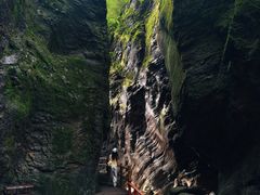 -牛背梁国家森林公园