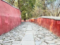 -潭柘寺景区