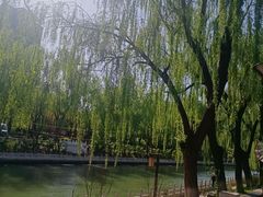-南长河公园