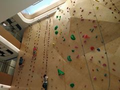 -ROCKPLUS攀岩馆(环宇城店)