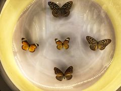 -下渚湖国家湿地公园科普馆