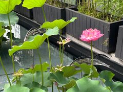 -许家菜.艺创菜(仁和新城店)