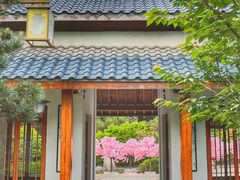 -郑州银基黄帝宫御温泉