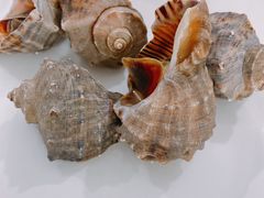 -八方海味餐厅