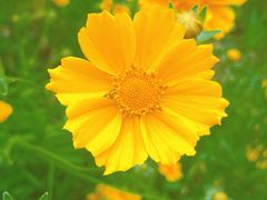 -南京市江宁方山