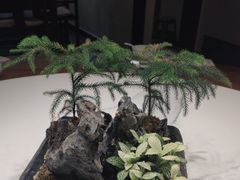 -蘭奢雅集·江浙菜(青山江滩店)