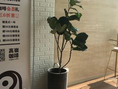 -高嶺咖啡(望京店)