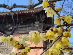 -清真·老兰家(兴善寺西街总店)