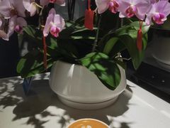 -LAB COFFEE来杯咖啡(浦仓路店)