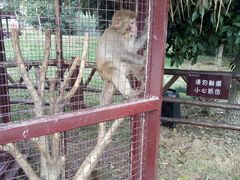 游乐设施-武汉紫薇都市田园