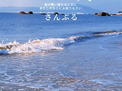 -椰风寨