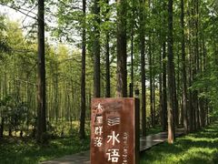 -黄海国家森林公园