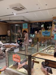 -造物庄园 萌宠纪(苏州湾歌林公园店)