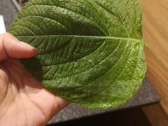 -完美生活炭火烤肉(二马路店)