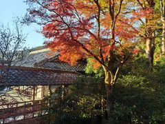 -三千院