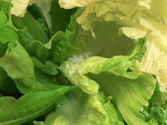 -探窝·竹笙椰子鸡(杨箕店)