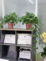 -青岛诺德医学美容医院