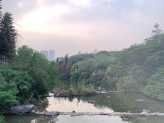-云溪植物园