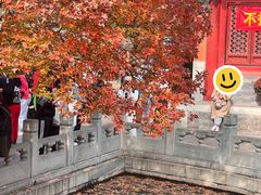 -香山公园