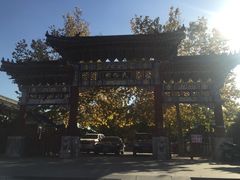 -华声天桥民俗文化园