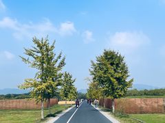 -良渚古城遗址公园