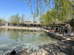 -杨柳青庄园
