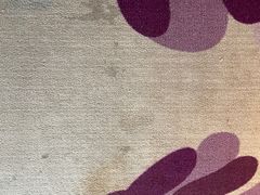 -麗枫酒店(广州汉溪长隆站野生动物园景区店)