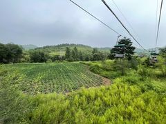 -磬锤峰森林公园