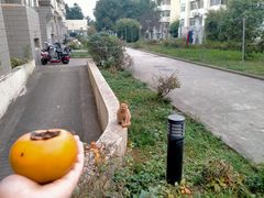 -南京中医药大学(仙林校区)