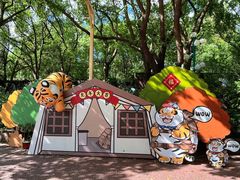 -野生动物园-停车场