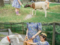 -前小桔亲子创意农场·草莓采摘·露营烧烤