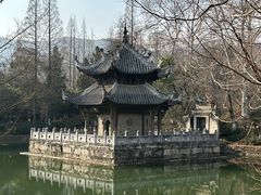 -习家池
