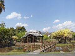 -中国科学院西双版纳热带植物园