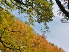 -广州市石门国家森林公园